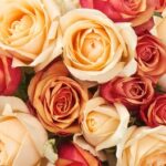 Beautiful Bouquets